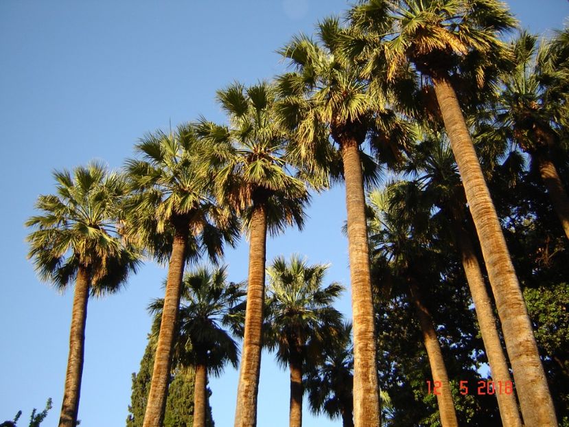  - 2018 mai camera Atena