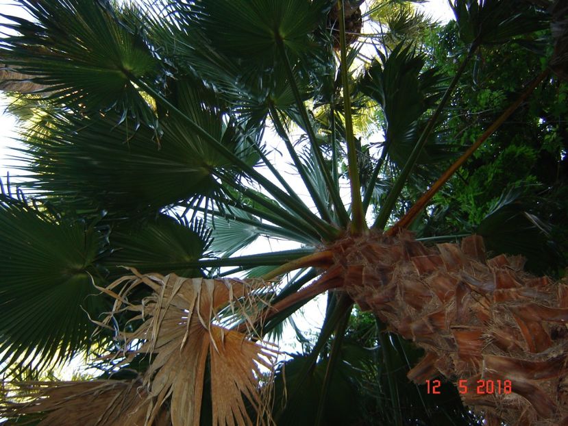  - 2018 mai camera Atena