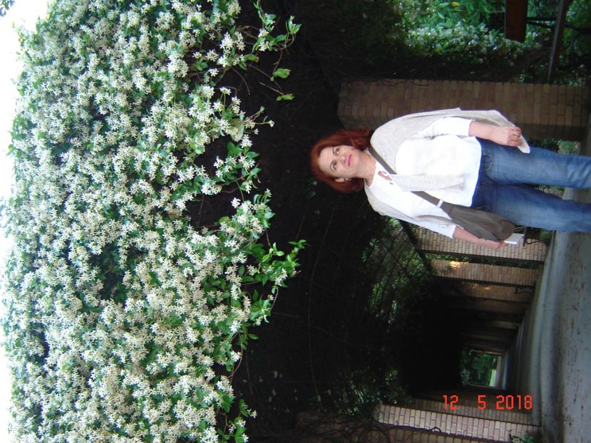  - 2018 mai camera Atena