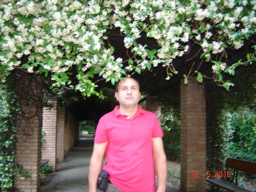  - 2018 mai camera Atena