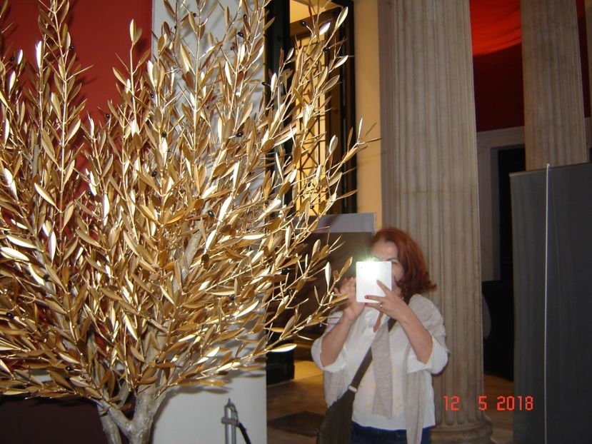  - 2018 mai camera Atena