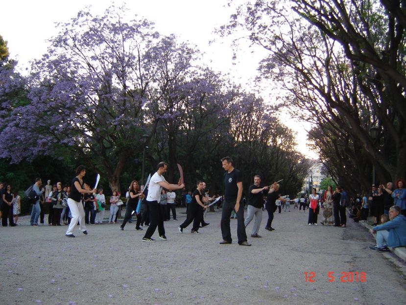  - 2018 mai camera Atena