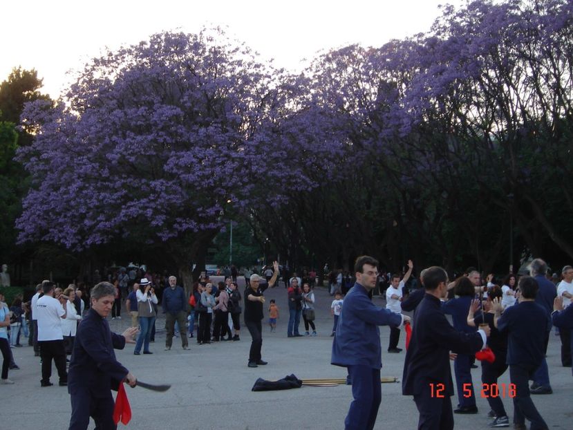  - 2018 mai camera Atena
