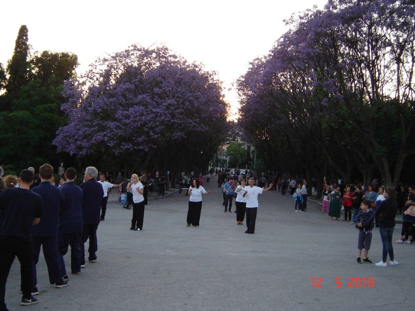  - 2018 mai camera Atena