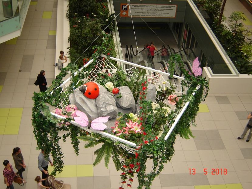  - 2018 mai camera Atena