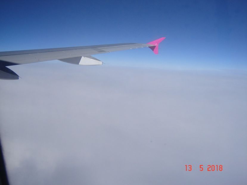  - 2018 mai camera Atena