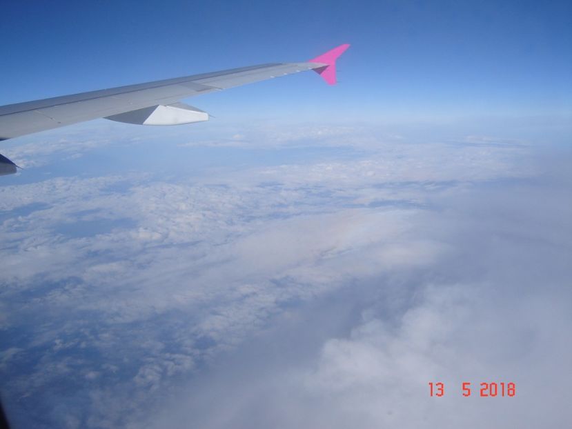  - 2018 mai camera Atena