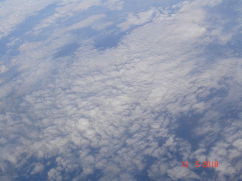  - 2018 mai camera Atena