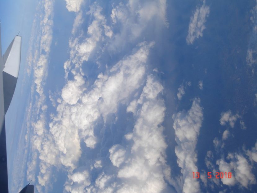  - 2018 mai camera Atena