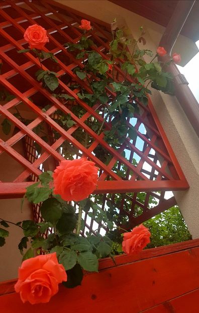  - Dee dee Bridgewater