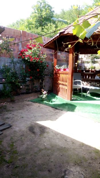  - Necunoscut posibil Paul Scarlet