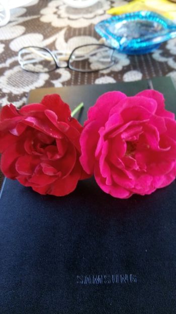  - Necunoscut posibil Paul Scarlet