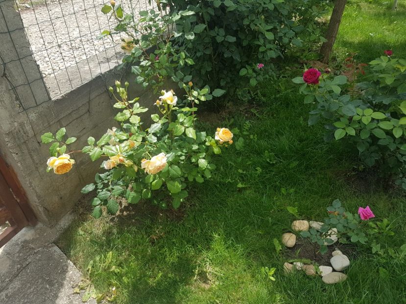  - Crown Princess Margareta