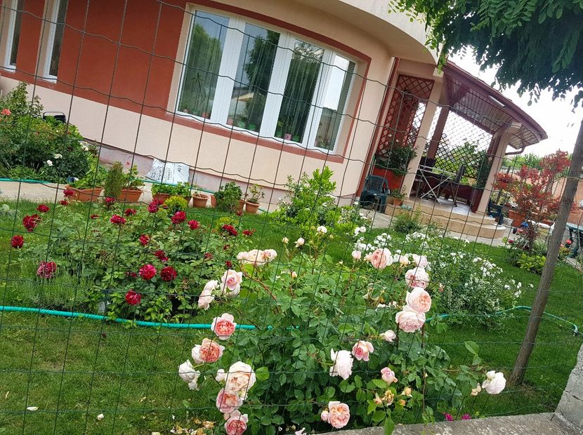  - Gradina mai 2018