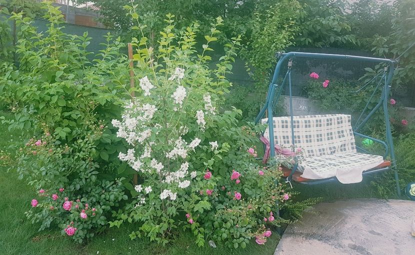  - Gradina mai 2018