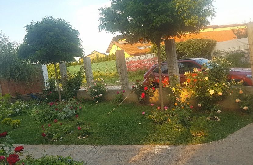  - Gradina mai 2018