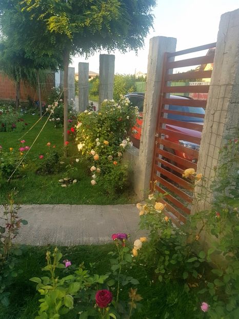  - Gradina mai 2018