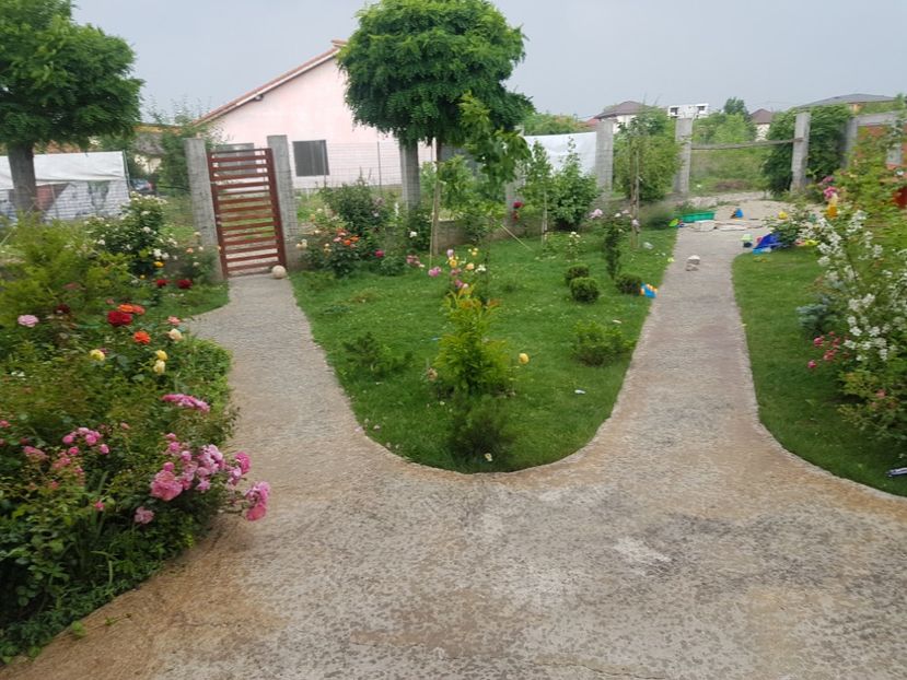 Vine ploaia - Gradina mai 2018