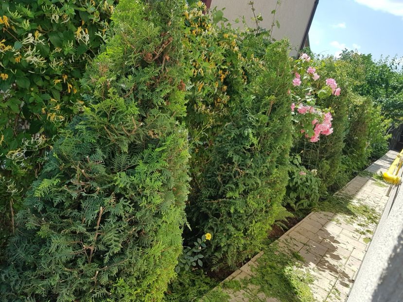 This brabant! - Primăvara 2018