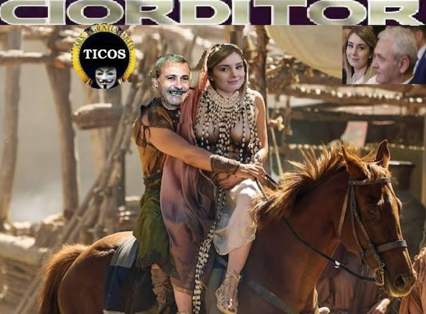  - Poze haioase pamflet