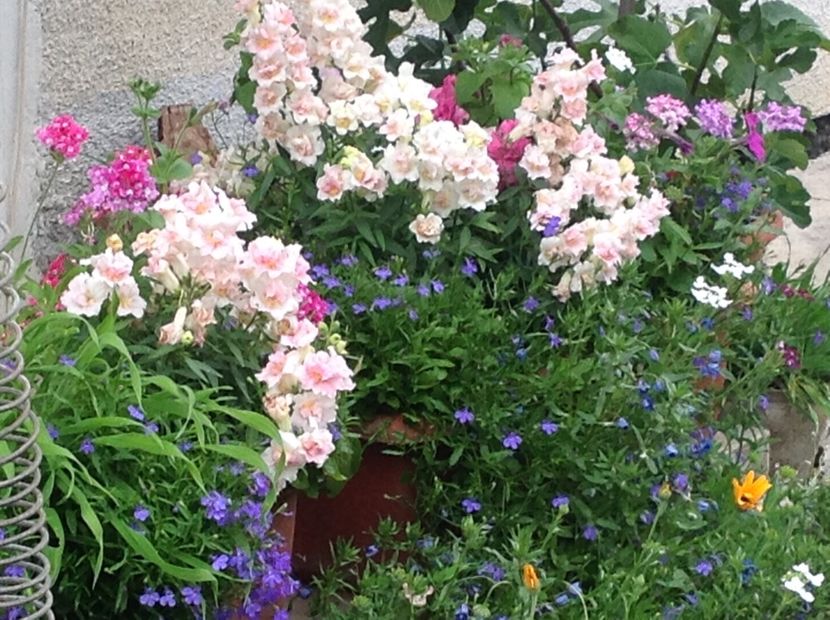  - Jardiniere 2018