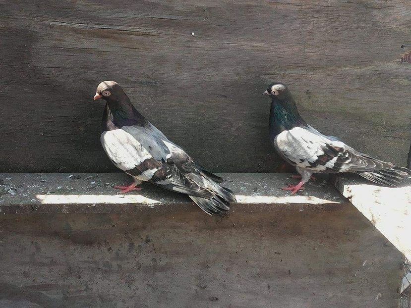 received_865360930256515 - Contact