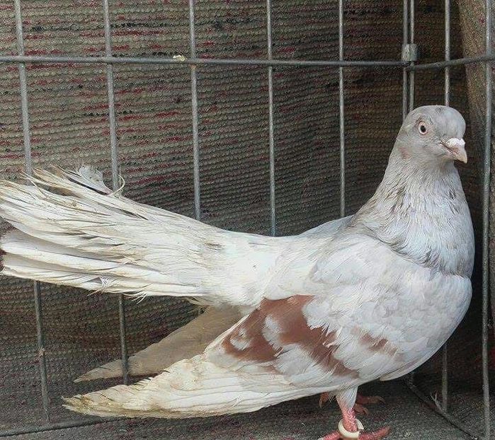 received_835056826620259-1 - Contact