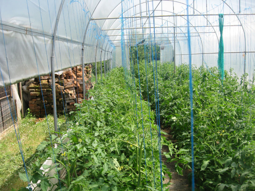  - Imagini 26 Mai 2018