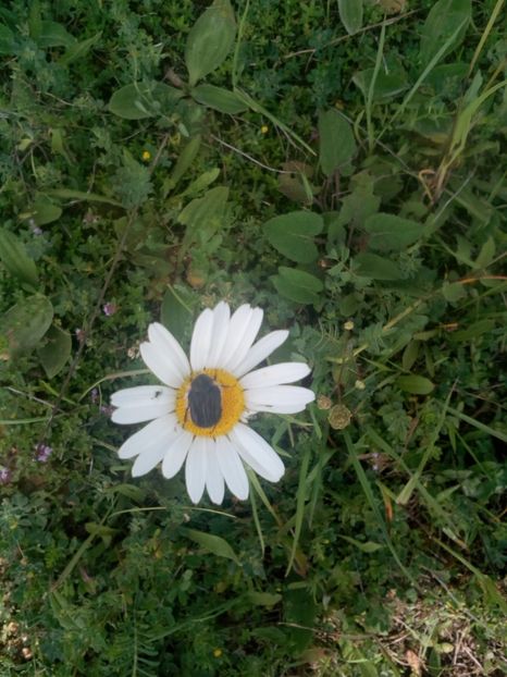  - FOTO DIVERSE