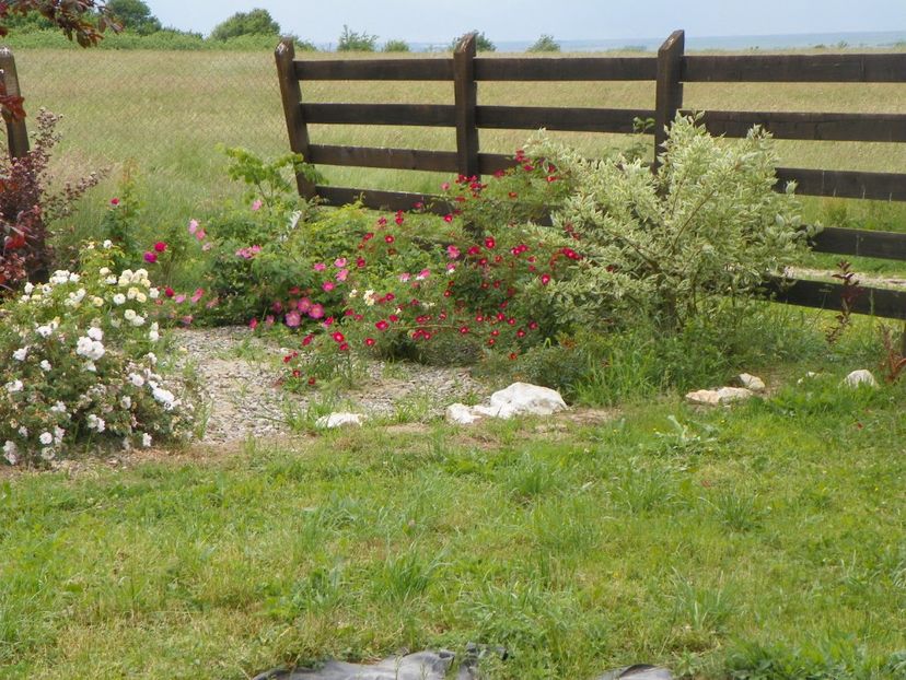 rondul Dinky fara Dinky - Dobarland 2018 2