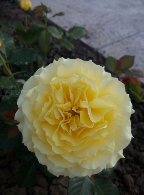 2018-28 mai - China girl