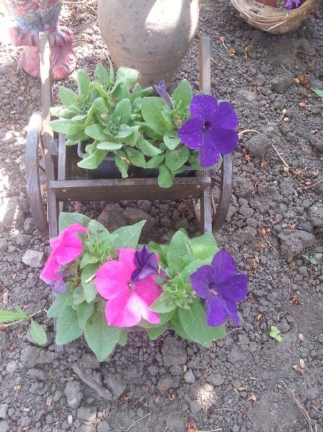  - Floricele