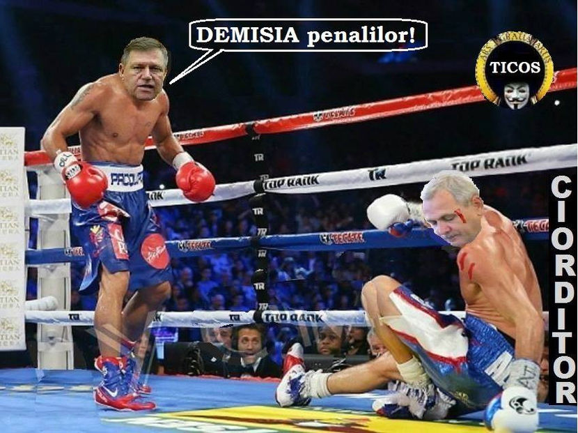  - Poze haioase pamflet