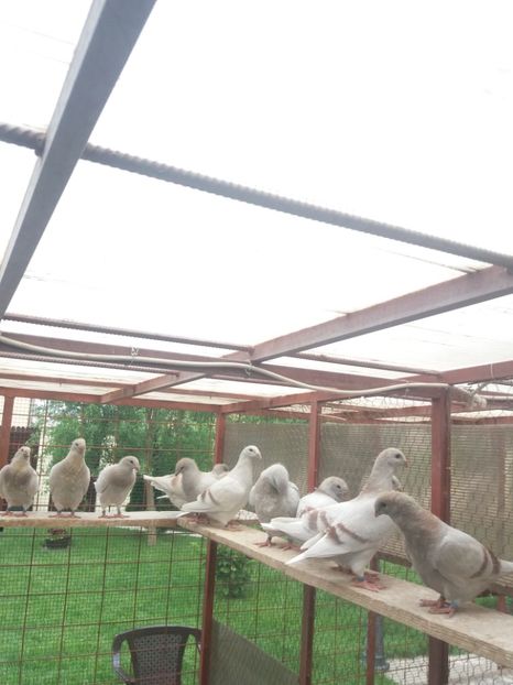 Poză de grup - PUI 2018