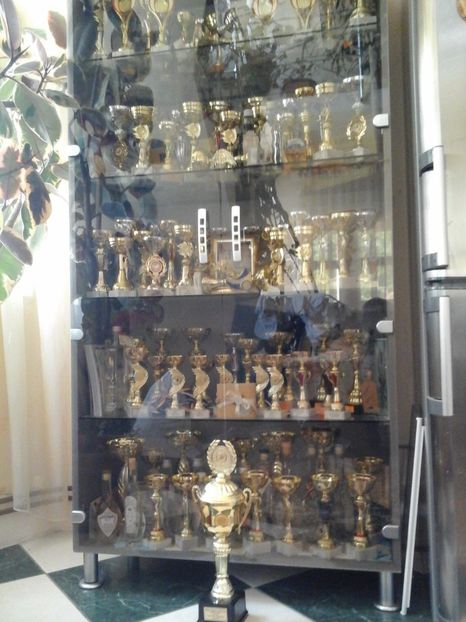  - Mascul de vînzare 6047624-2017