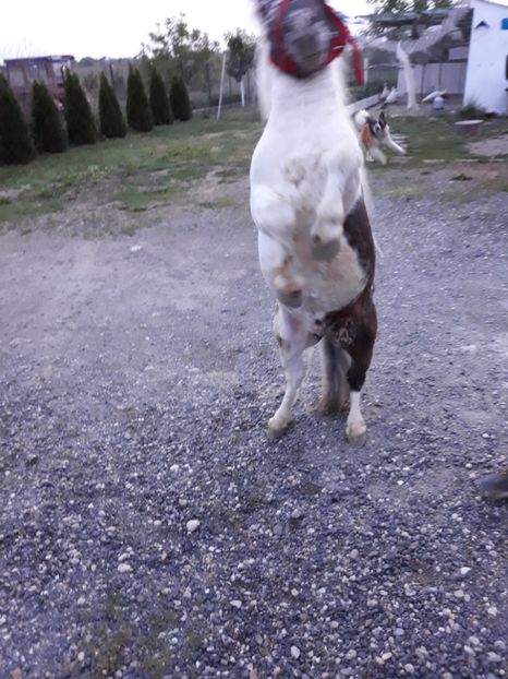 20180509_210102(0) - PONEI