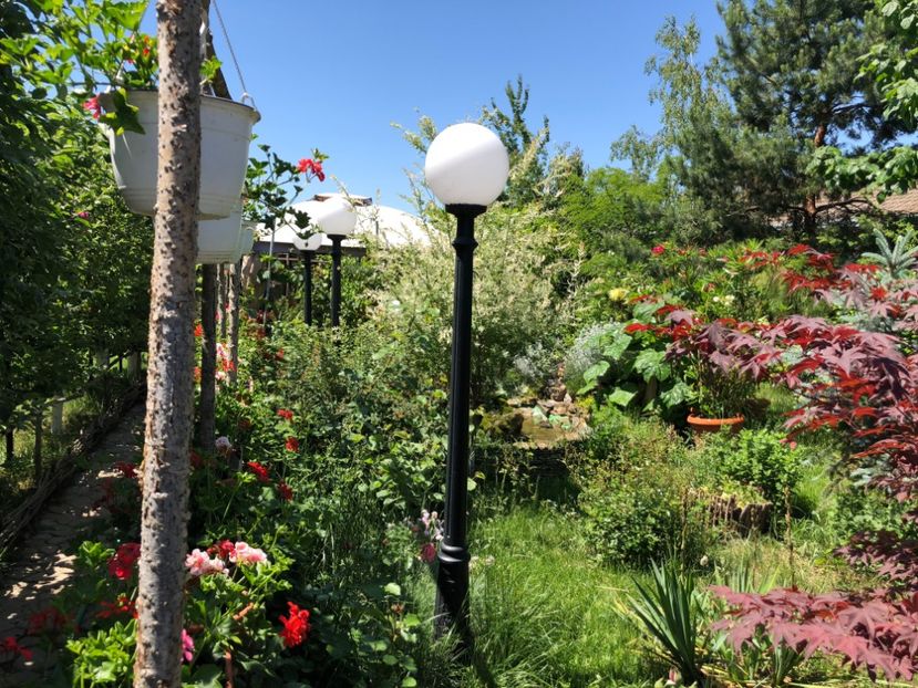  - 01 Gradina imagini