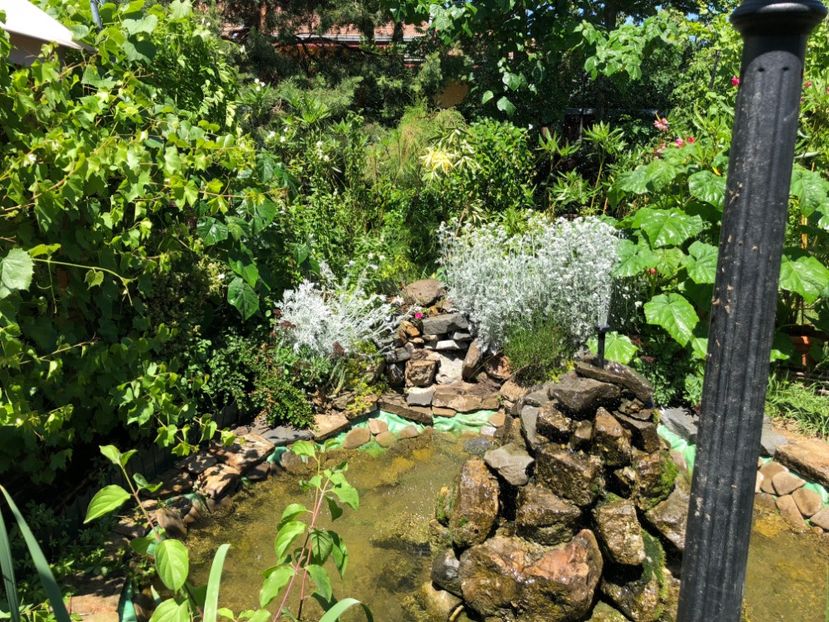  - 01 Gradina imagini