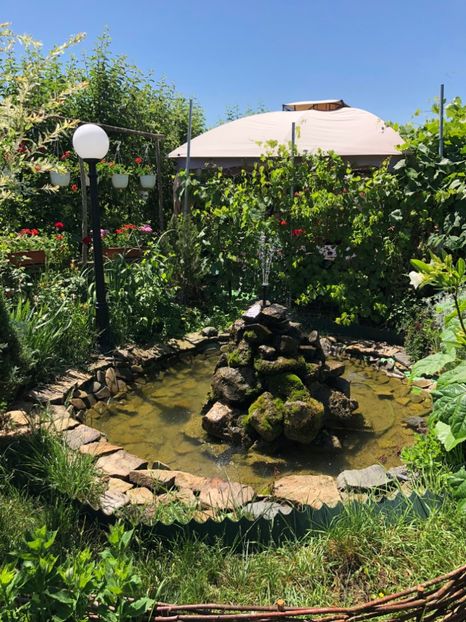  - 09 Fantana si testoasele