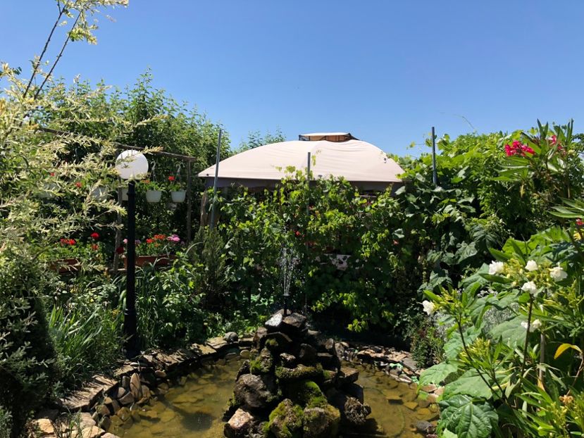  - 09 Fantana si testoasele