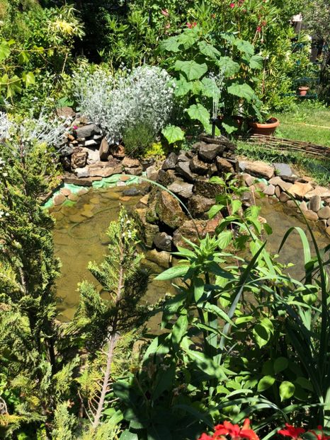  - 09 Fantana si testoasele