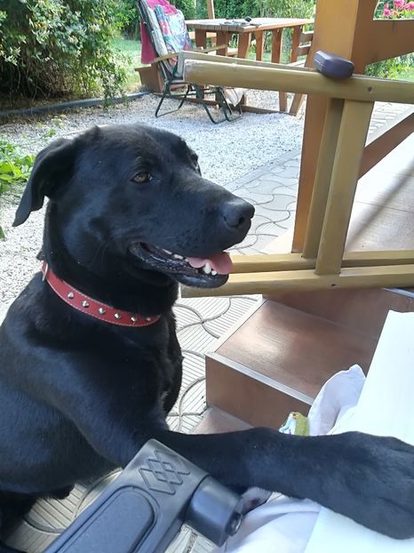  - Bucuriile primaverii 2018