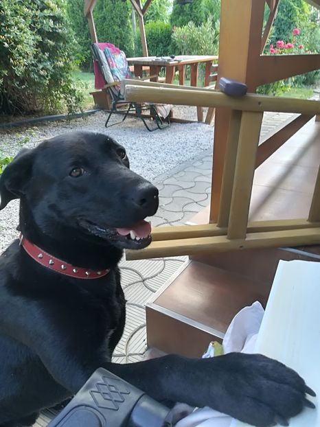  - Bucuriile primaverii 2018