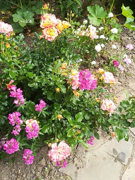  - Bucuriile primaverii 2018