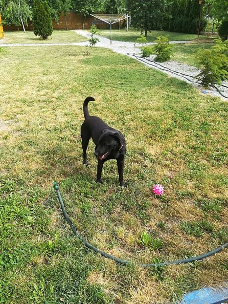  - Bucuriile primaverii 2018