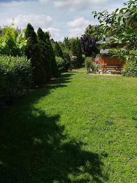  - Bucuriile primaverii 2018