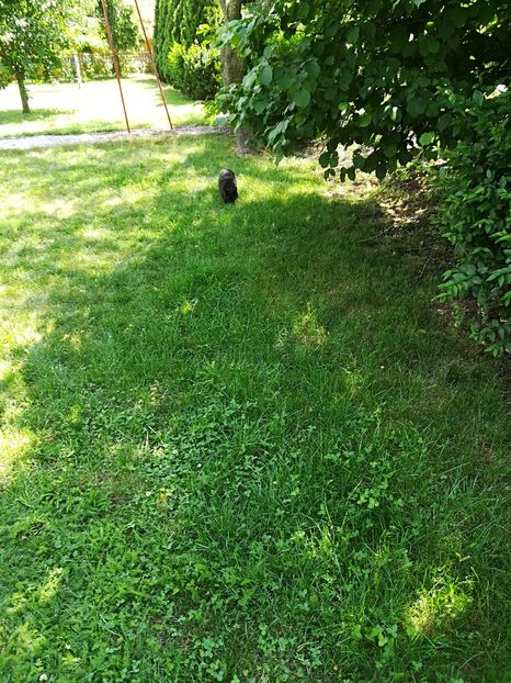  - Bucuriile primaverii 2018