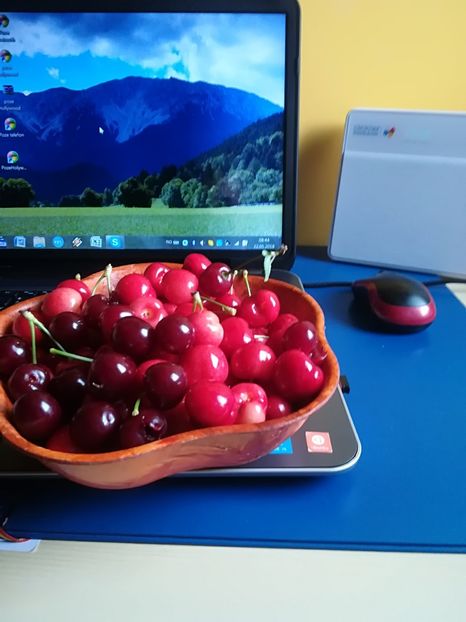  - Bucuriile primaverii 2018