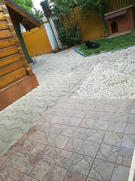  - Bucuriile primaverii 2018