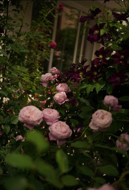 Capture+_2018-05-29-14-09-22-01 - Spirit of Freedom